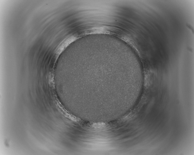 X0000099300882200805301131