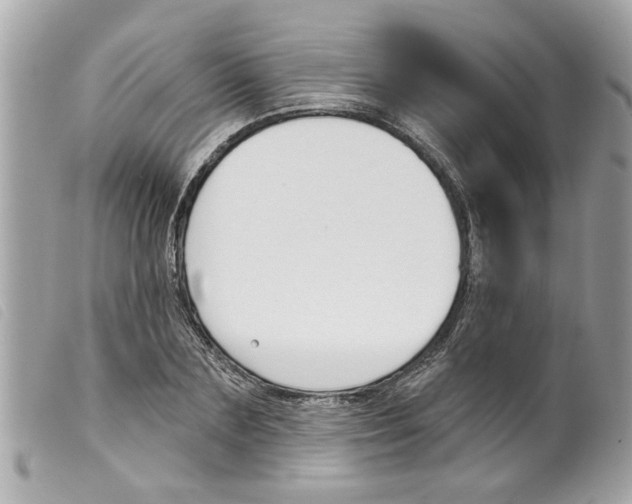 X0000099300883200805301131