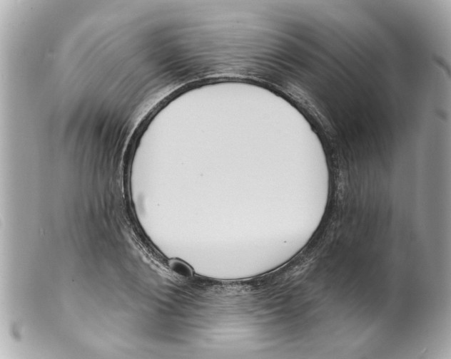 X0000099300884200805301131