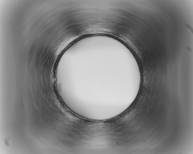 X0000099300885200805301131