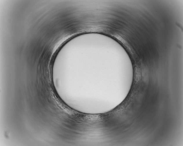 X0000099300886200805301131