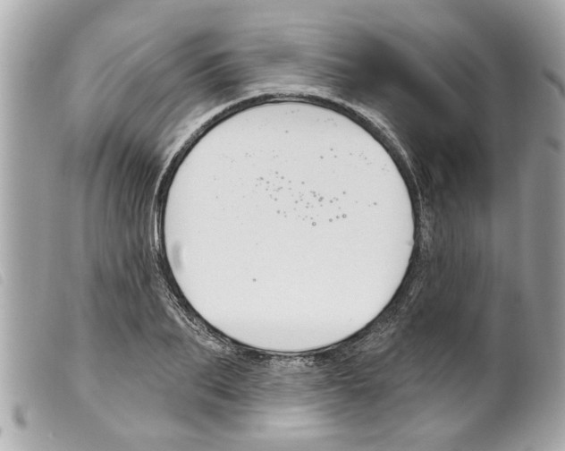 X0000099300887200805301131