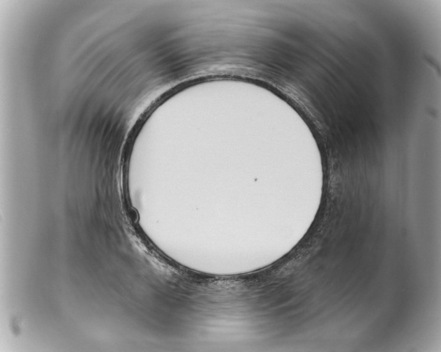 X0000099300888200805301131