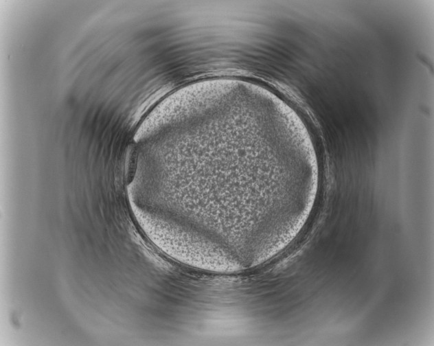 X0000099300889200805301131