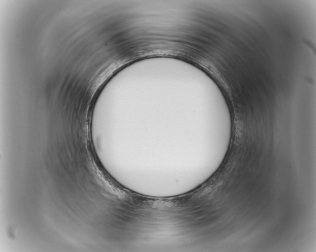 X0000099300890200805301131