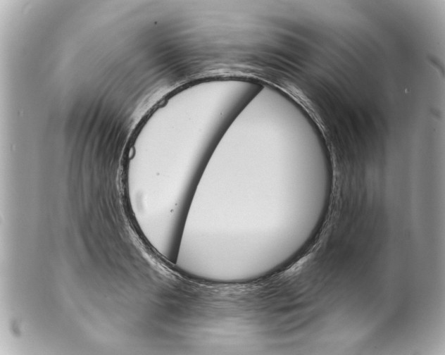 X0000099300893200805301131