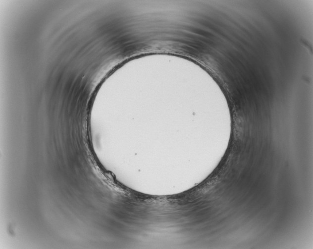 X0000099300896200805301131
