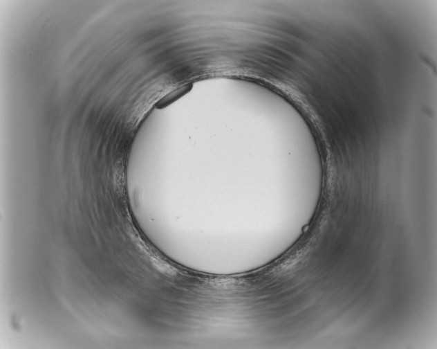 X0000099300897200805301131