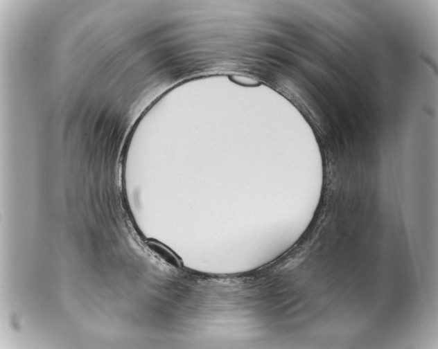 X0000099300900200805301131