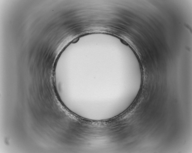 X0000099300901200805301131