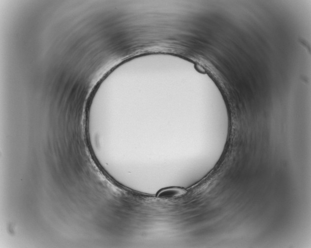 X0000099300902200805301131