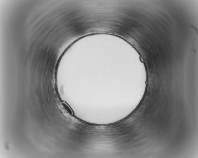 X0000099300904200805301131