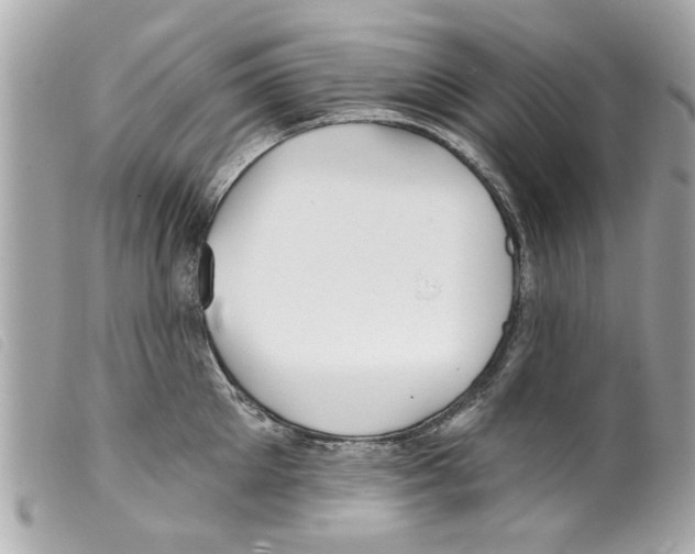 X0000099300905200805301131