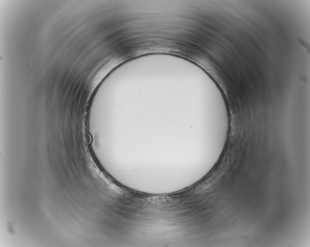 X0000099300906200805301131