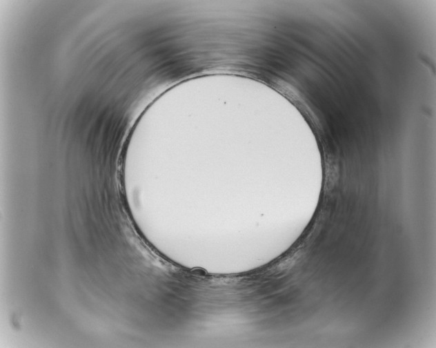 X0000099300908200805301131
