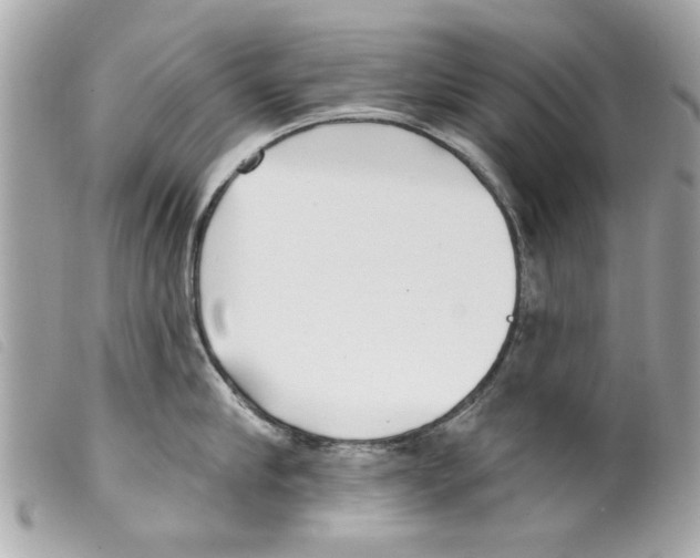 X0000099300910200805301130