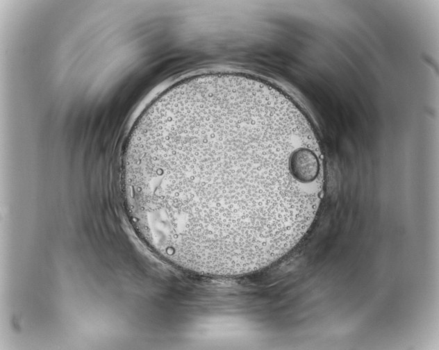 X0000099300911200805301130