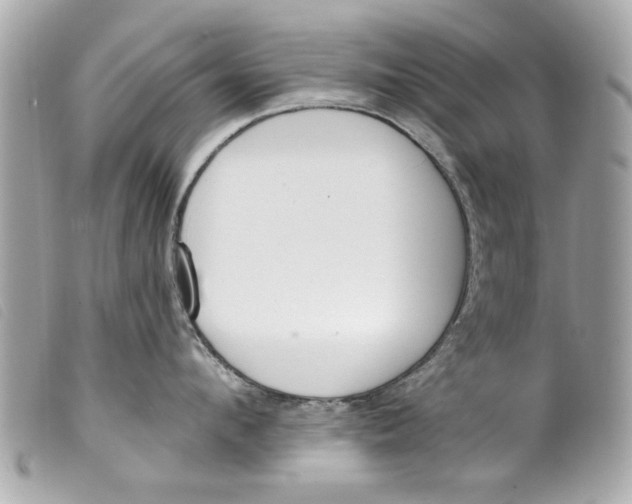 X0000099300912200805301130