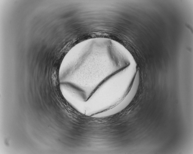X0000099300915200805301130