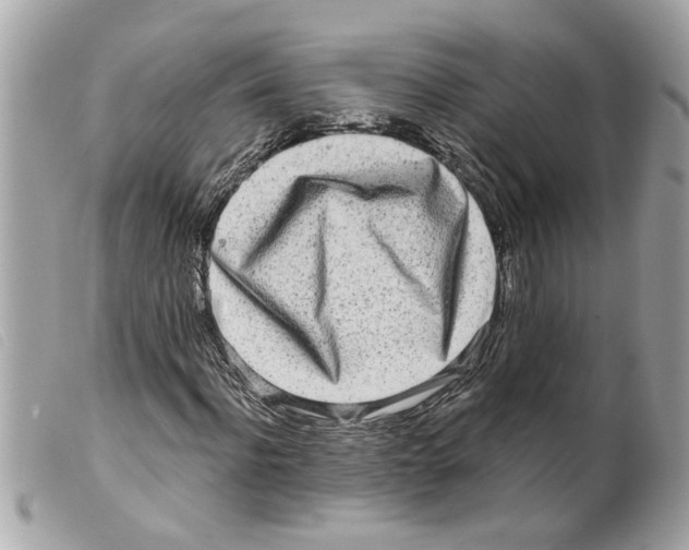 X0000099300916200805301130