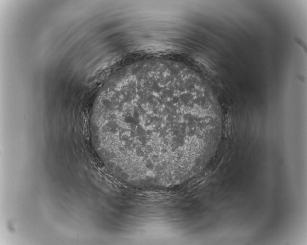 X0000099300917200805301130