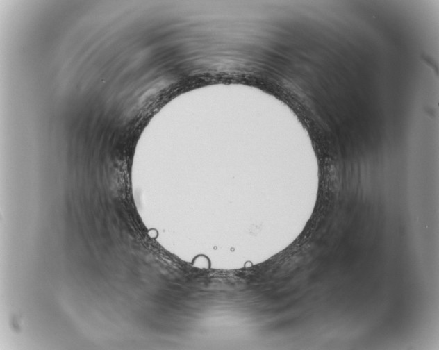 X0000099300918200805301130