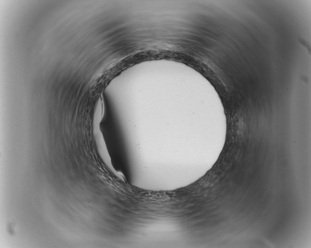 X0000099300919200805301130