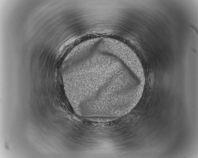X0000099300920200805301130