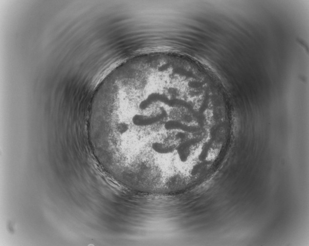 X0000099300921200805301130