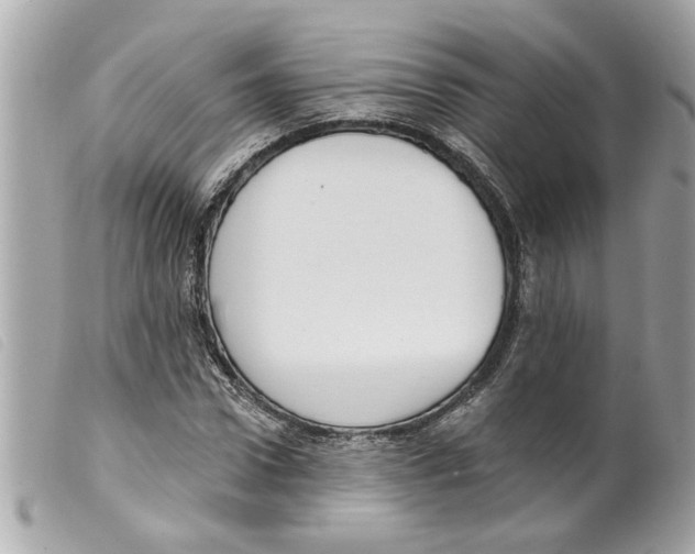 X0000099300922200805301130