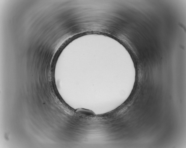 X0000099300924200805301130
