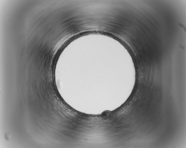 X0000099300927200805301130