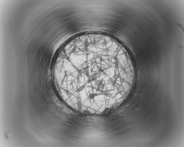 X0000099300928200805301130
