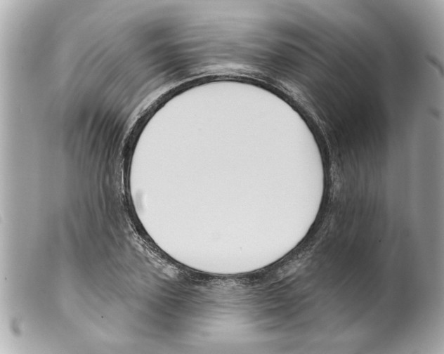 X0000099300931200805301130