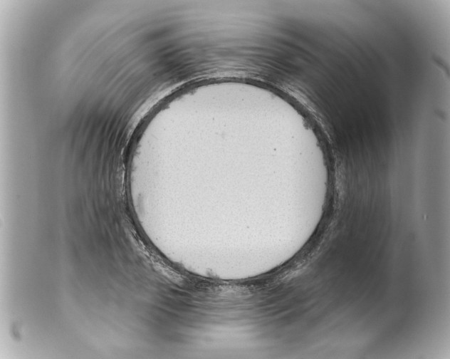 X0000099300933200805301130