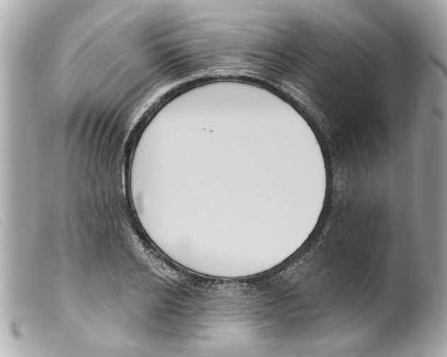 X0000099300934200805301130