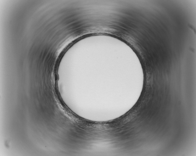 X0000099300936200805301130