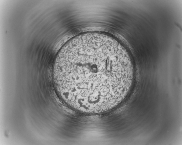 X0000099300937200805301130