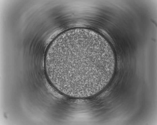 X0000099300938200805301130
