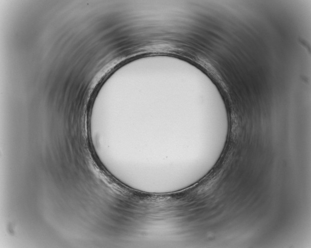 X0000099300939200805301130