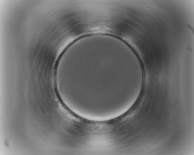 X0000099300941200805301130