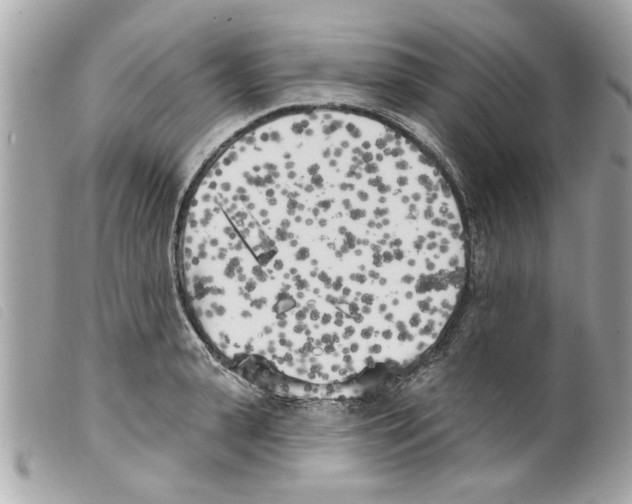 X0000099300943200805301130