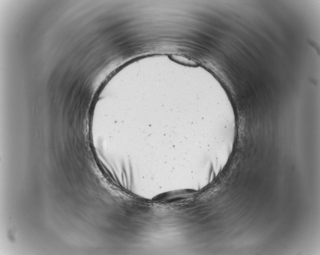 X0000099300944200805301130