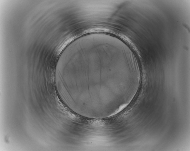 X0000099300945200805301130