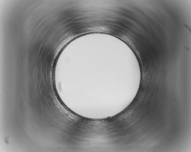 X0000099300947200805301130