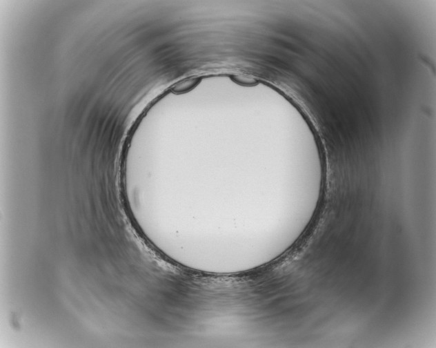 X0000099300949200805301130