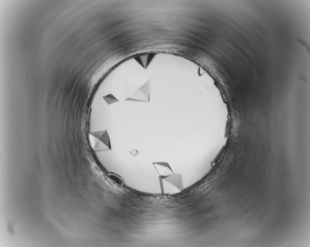 X0000099300952200805301130