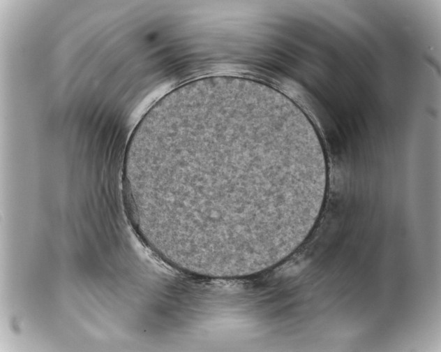 X0000099300954200805301130
