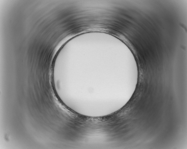X0000099300955200805301130