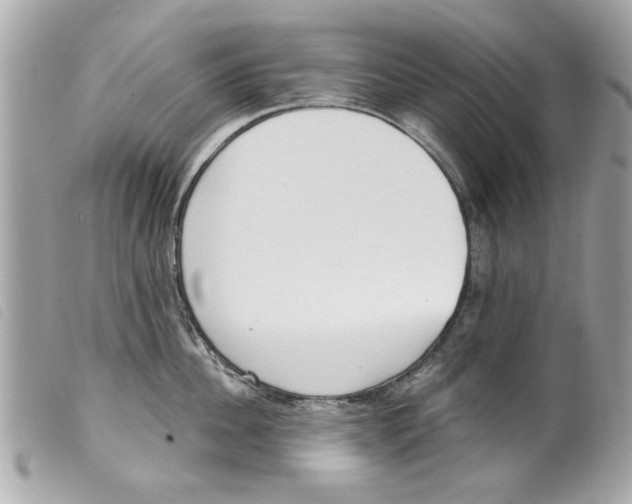 X0000099300956200805301130